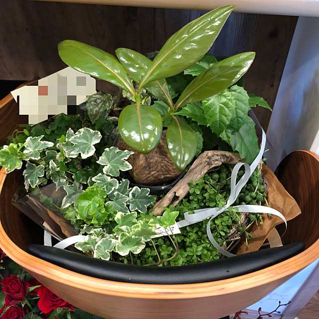 BROWNさんの実例写真