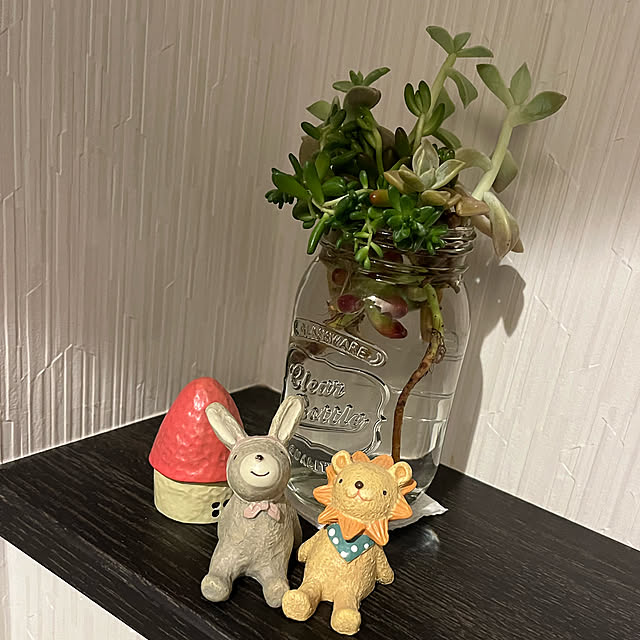 キラキラ✨/トイレ/多肉植物/トイレインテリア雑貨/バス/トイレのインテリア実例 - 2022-05-08 21:47:42