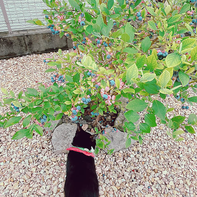 moolさんの部屋