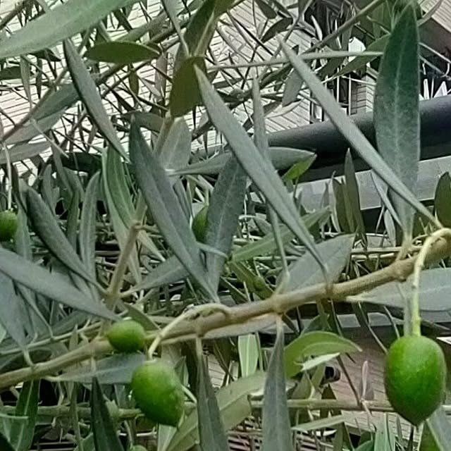 mori_6_12さんの実例写真
