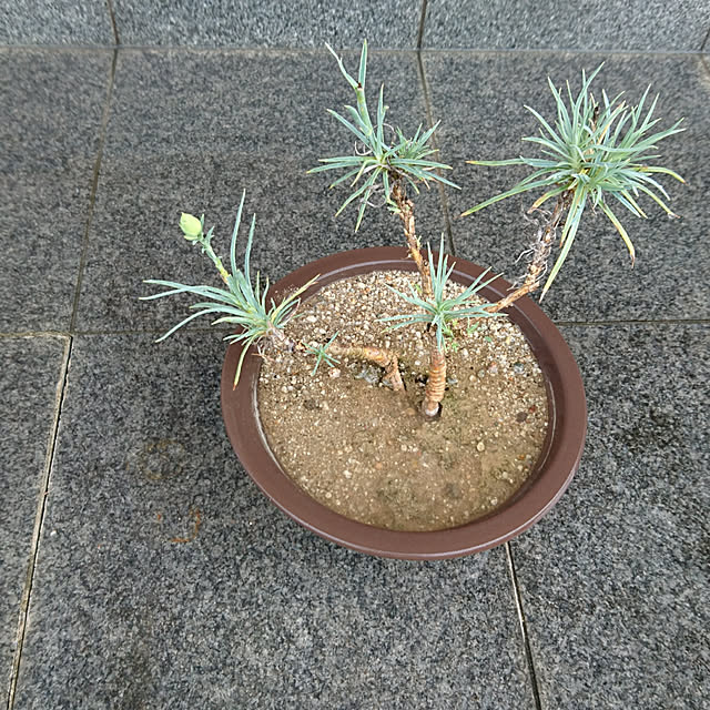akesanさんの実例写真