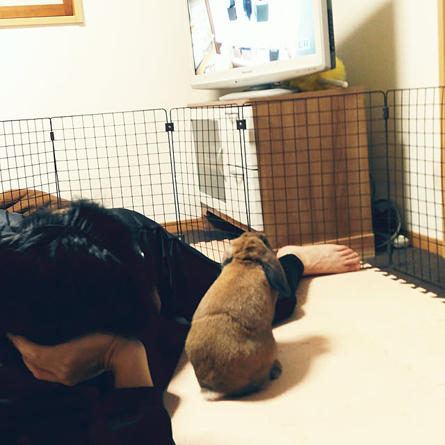 littlemomさんの実例写真