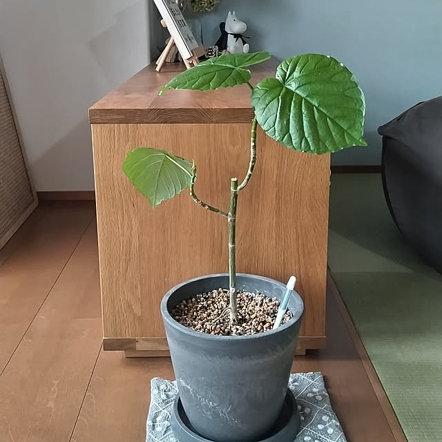 sakiさんの実例写真