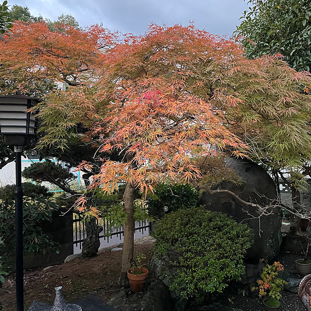 shin0719さんの部屋