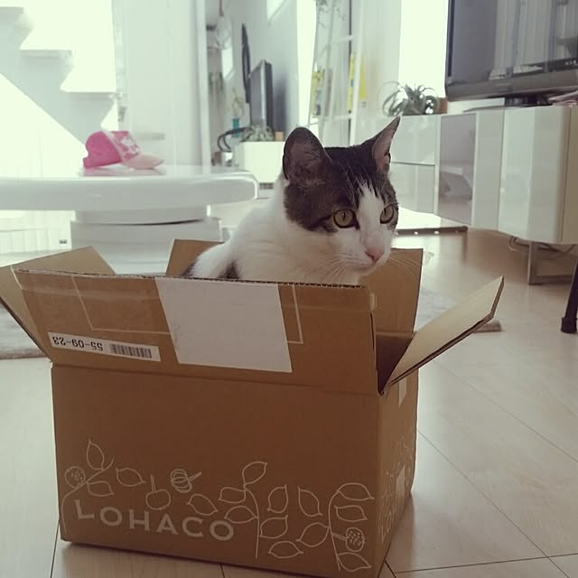 runayucoさんの実例写真