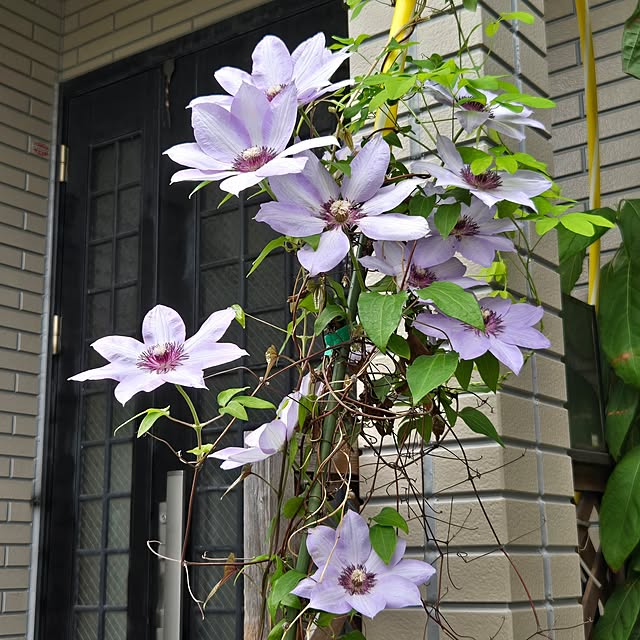 mitsuyama3136さんの実例写真