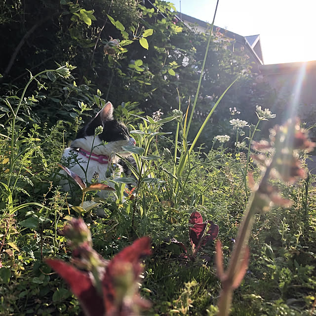 yum0408さんの実例写真