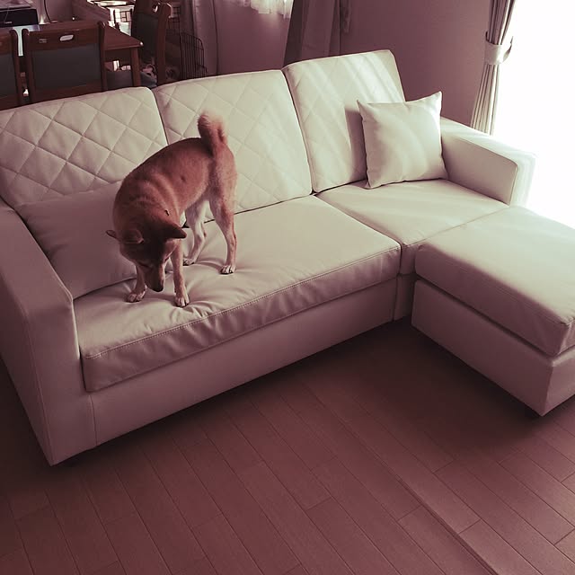emtokさんの実例写真