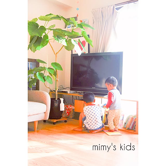 mimyさんの実例写真