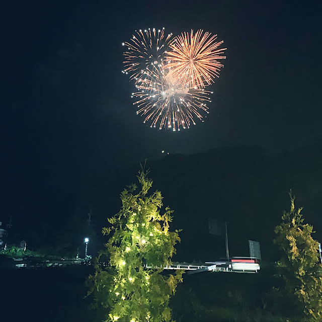 実例写真