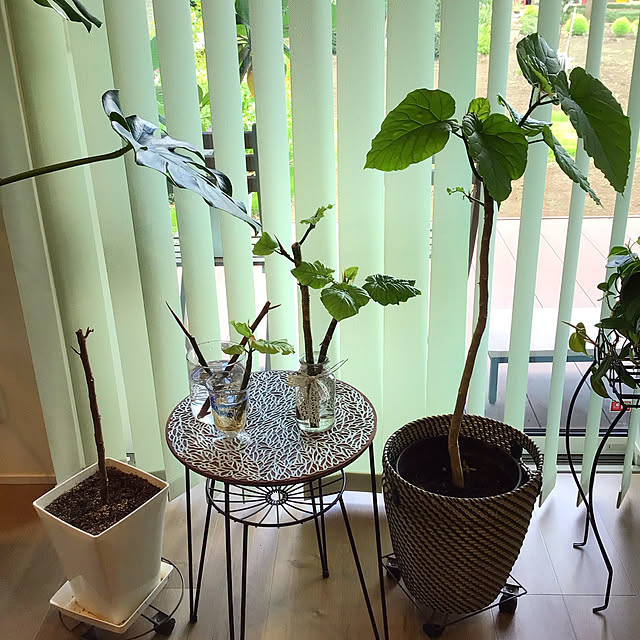 houenさんの部屋