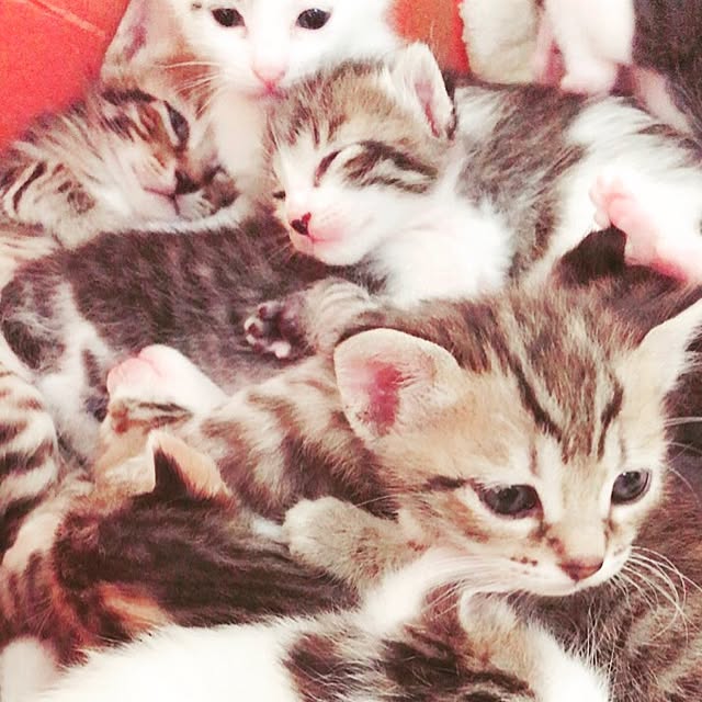 be-mineさんの実例写真