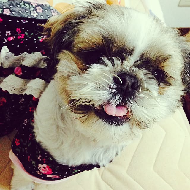 pepeさんの実例写真
