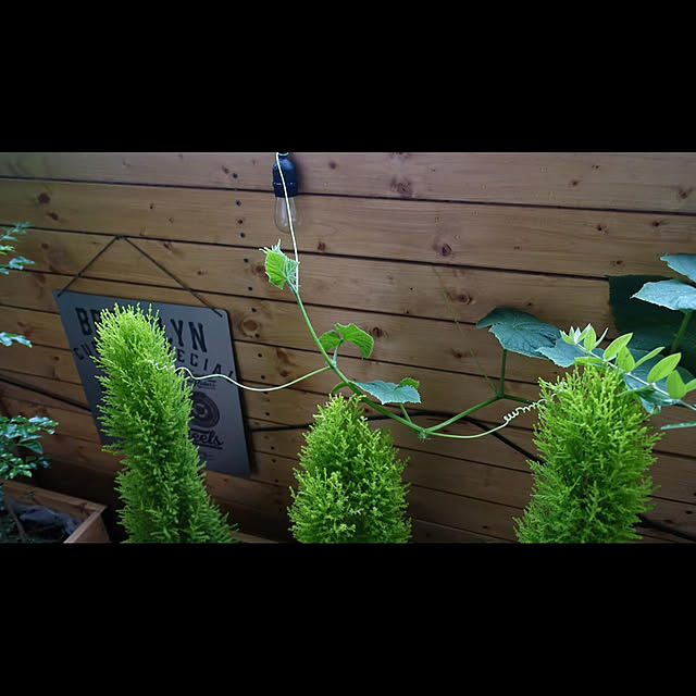 NKGardenさんの実例写真