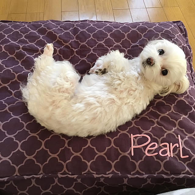 Shihoさんの実例写真
