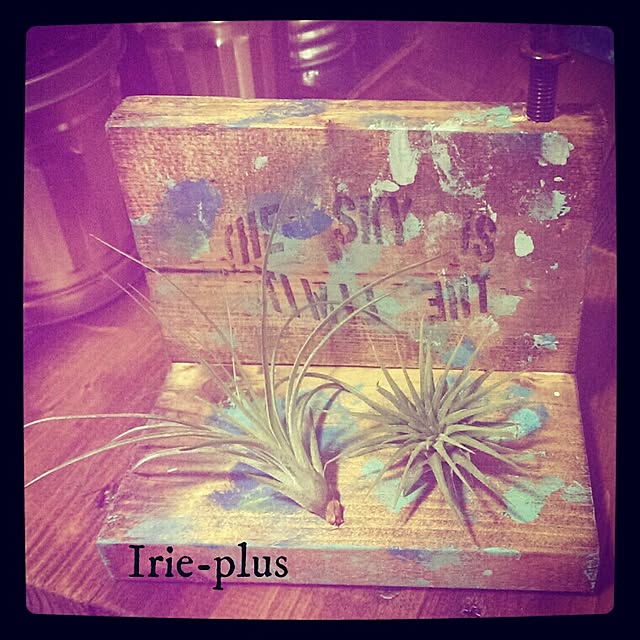 Irie-plusさんの実例写真