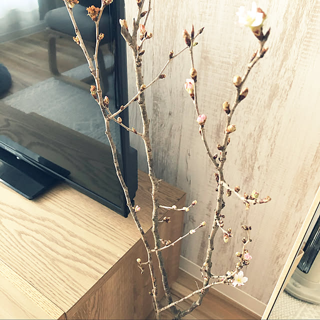 wakameさんの実例写真