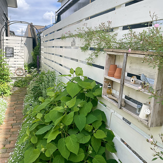 kotoriさんの部屋
