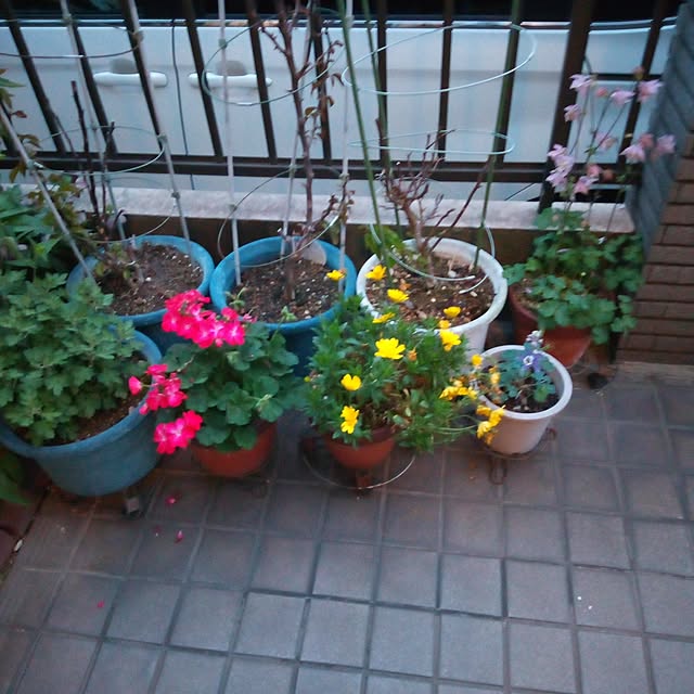 PIKMINさんの部屋