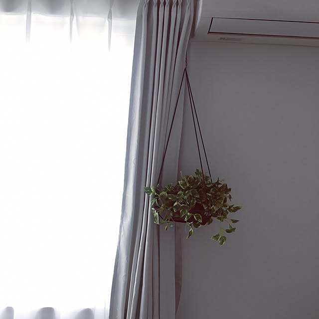 waraさんの実例写真