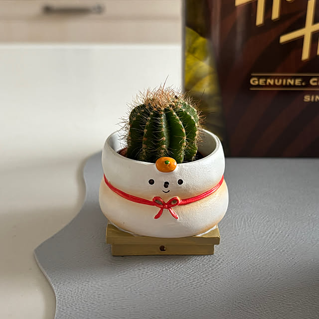 maayaさんの部屋