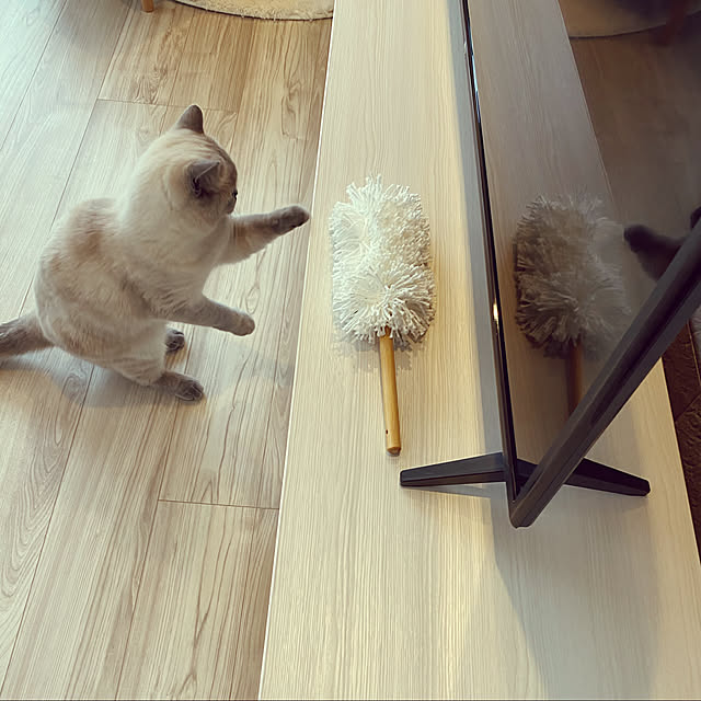 gingerwynksさんの実例写真
