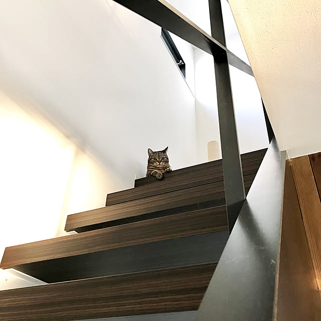kaedeさんの実例写真