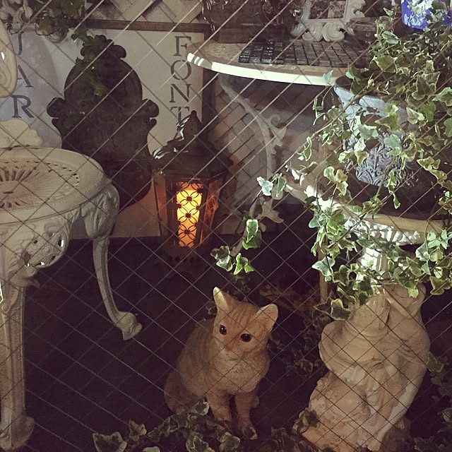 emmyyさんの実例写真