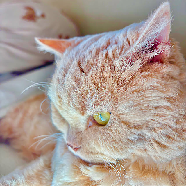 naokoさんの部屋