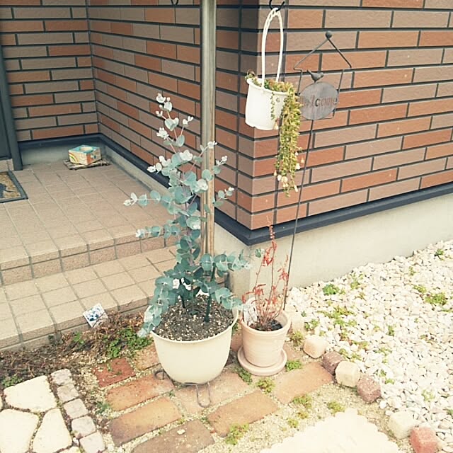 miiさんの実例写真
