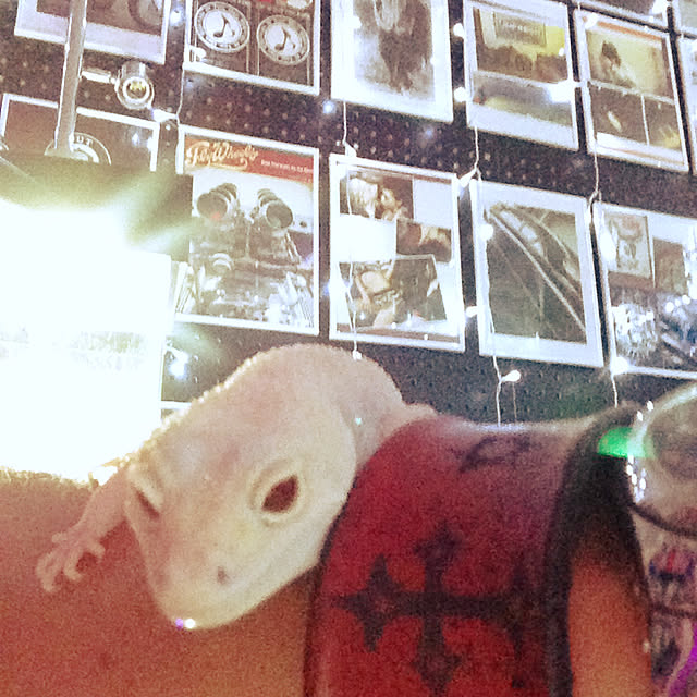 xxxpunk696さんの実例写真