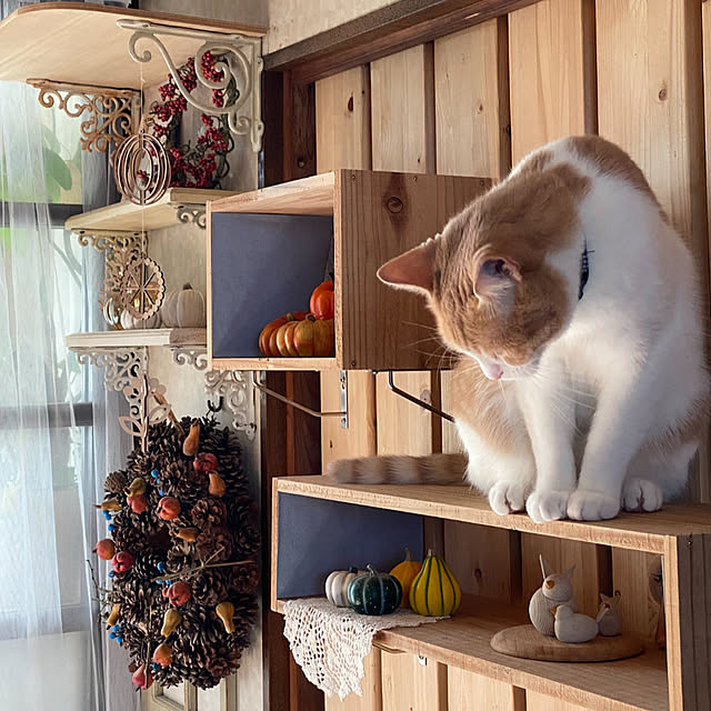 mintteaさんの実例写真