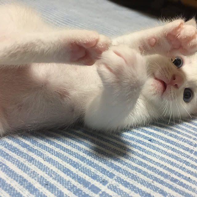 unataroさんの実例写真