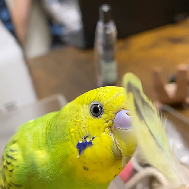 ohanaさんの部屋