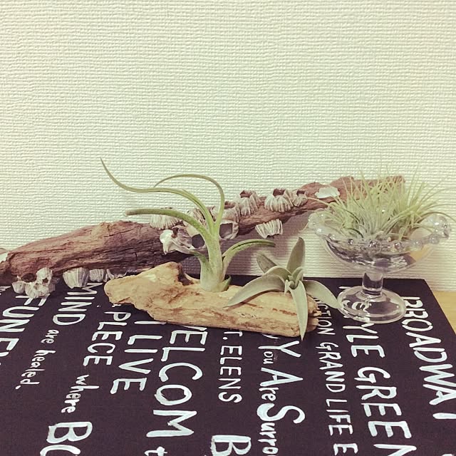 mikio-oさんの実例写真