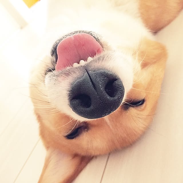 terumi.724さんの実例写真