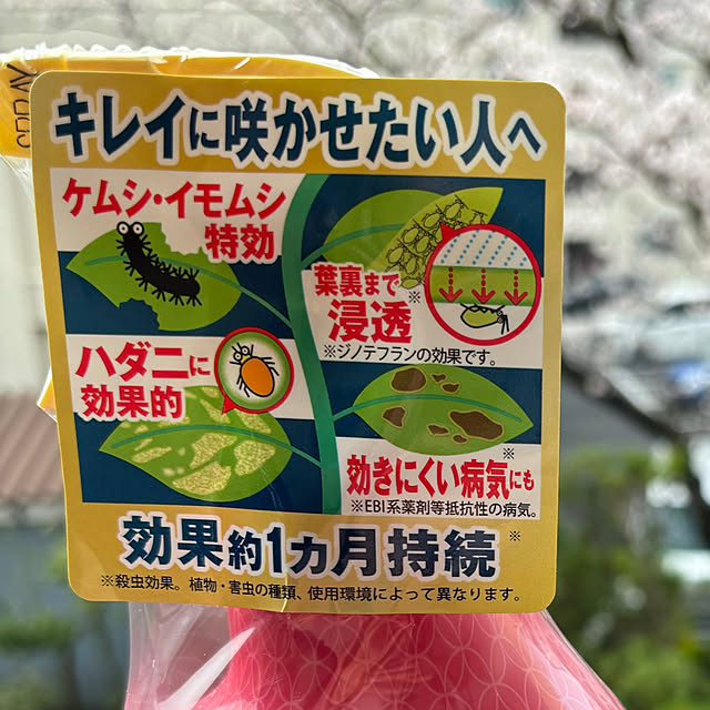 syutmmさんの部屋