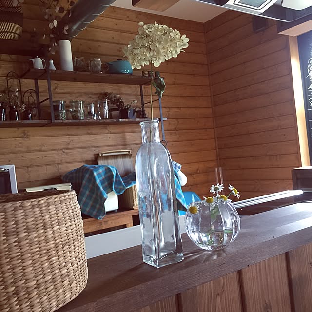 キッチン/NO GREEN NO LIFE/BESSの家/DIY/花...などのインテリア実例 - 2016-07-10 08:19:32