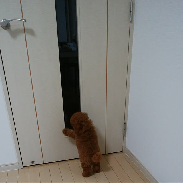 cocoさんの実例写真