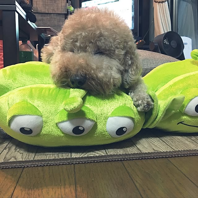 ronmaruさんの実例写真