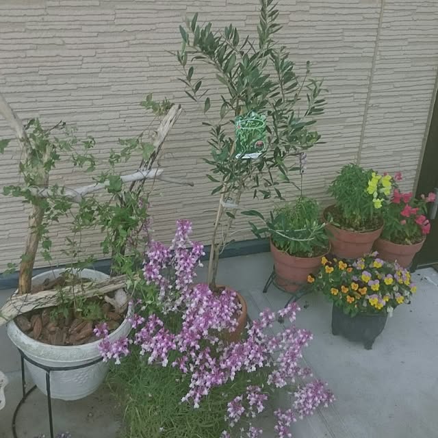 kao.kaoさんの実例写真