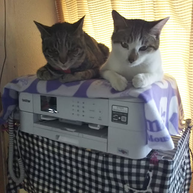 me_ta_815さんの実例写真