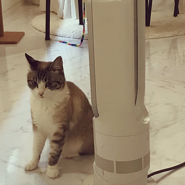 gingerwynksさんの実例写真