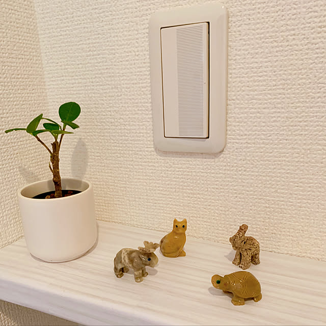 totoさんの実例写真