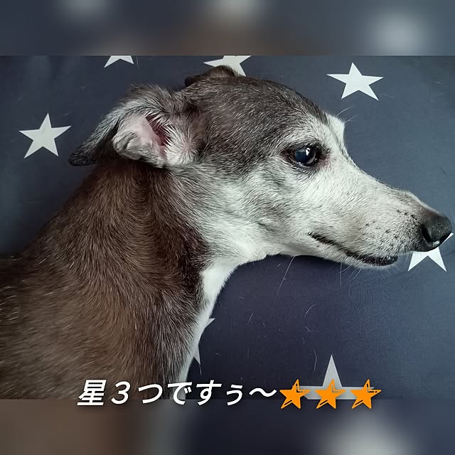 moruさんの部屋