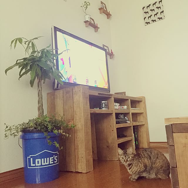 catacさんの実例写真