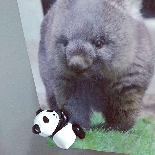 meiさんの実例写真