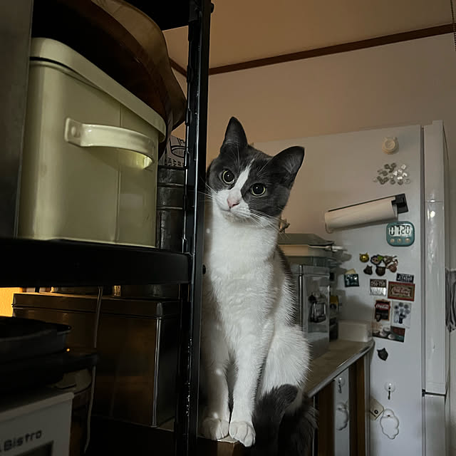 RUNRUNさんの実例写真