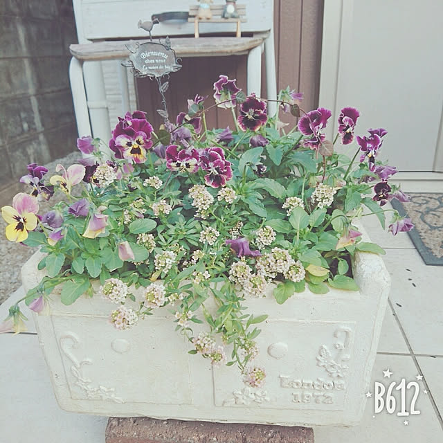 K-mamaさんの実例写真