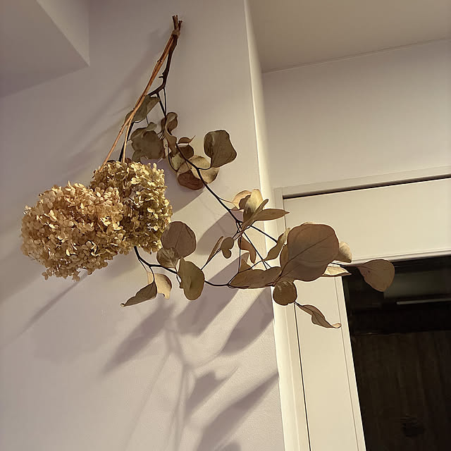 olive18さんの実例写真